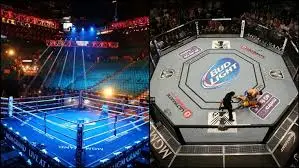 MMA-y-boxeo-pasión-por-los-combates
